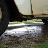 DSC01436_800x600