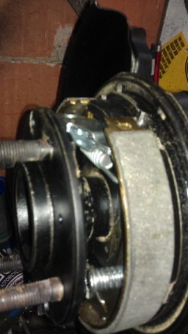 IMAG1495_338x600